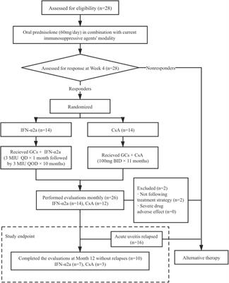 Comparison of the Safety and Efficacy of Interferon Alpha-2a and Cyclosporine-A When Combined With Glucocorticoid in the Treatment of Refractory Behçet’s Uveitis: A Randomized Controlled Prospective Study